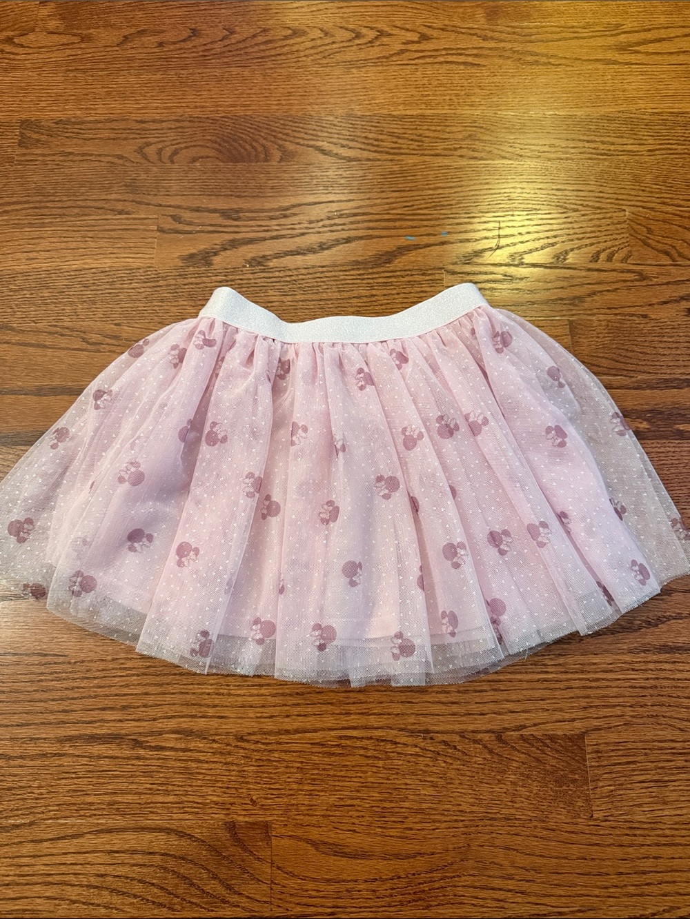 Disney Pink Tulle Skirt with Mauve Minnie Silhouettes